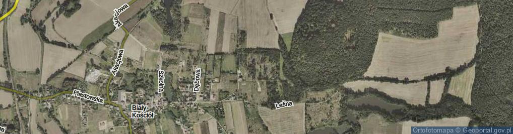 Zdjęcie satelitarne Świerkowa ul.